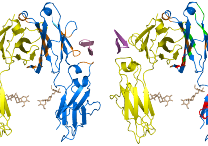 Brief introduction of Protein Protein Interaction 0