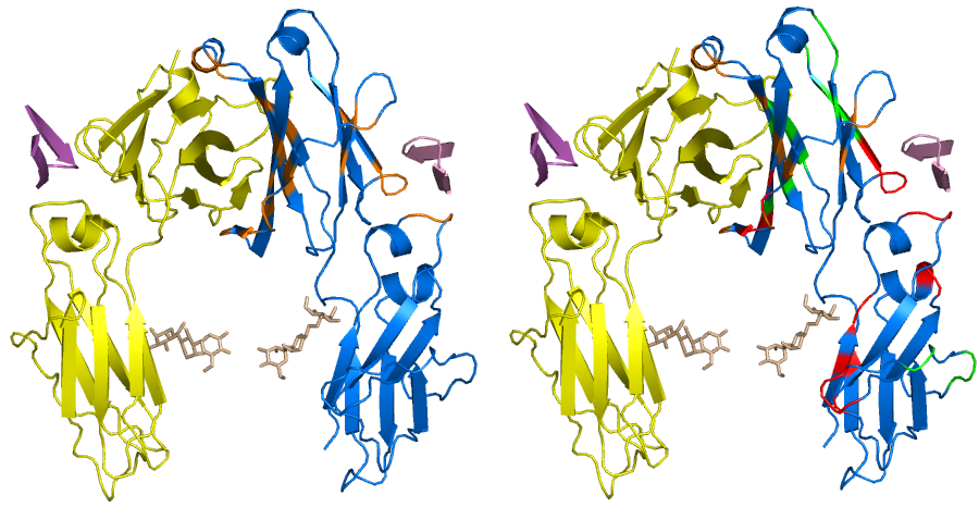 Brief introduction of Protein Protein Interaction 0