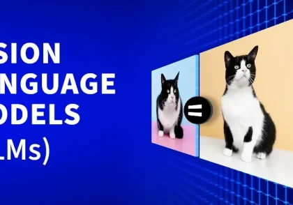 Vision Language Models